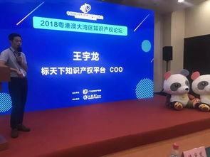 七弦琴 專利交易盛會中的知識產權服務新星