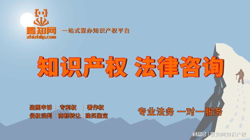 知識產權全解析 分類標準與五大核心類型詳述